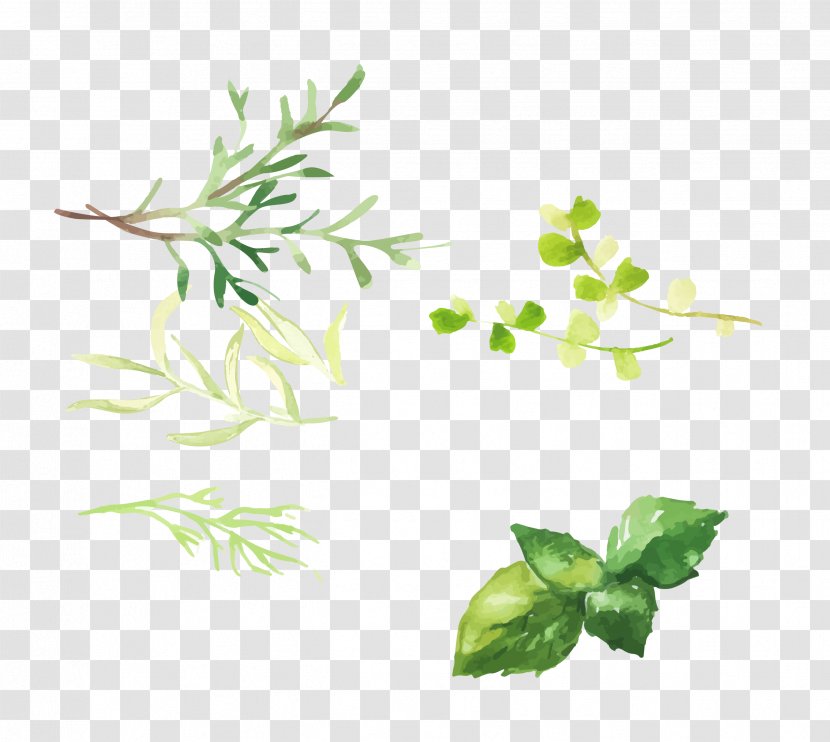 Hand Painted Grass - Rectangle - Grasses Transparent PNG