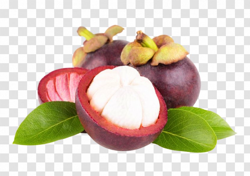 Purple Mangosteen Fruit Kulit Manggis Great-sun Foods Co., Ltd. Antioxidant - Food - Ingredient Transparent PNG