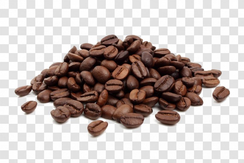 Coffee Bean Tea Cafe Kona - Caffeine - Cocoa Transparent PNG