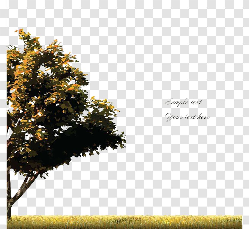 Tree Royalty-free Clip Art - Fotosearch - Autumn Leaves Vector Transparent PNG