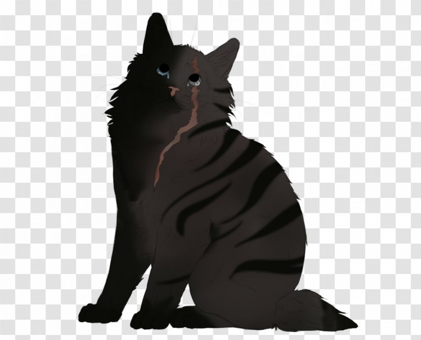 Black Cat Kitten Whiskers Domestic Short-haired - Fur Transparent PNG