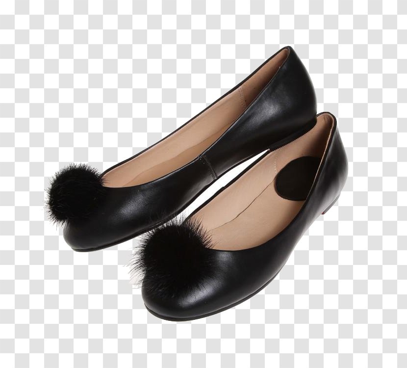 Ballet Flat Shoe Fashion - Pomerainian Transparent PNG