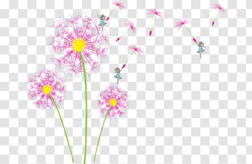IPhone 4S Dandelion Clip Art - Flower - Pink Transparent PNG