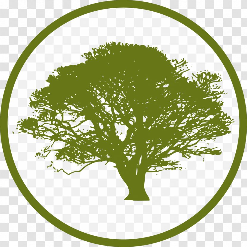 Tree Deciduous Clip Art - Grass Transparent PNG