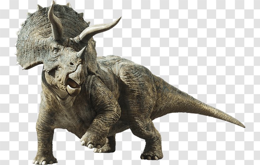 Triceratops Brachiosaurus Gallimimus Stegosaurus Tyrannosaurus - Sinoceratops - Dinosaur Transparent PNG