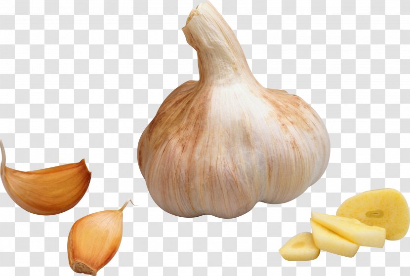 Garlic Vegetable Icon - Flavor Transparent PNG