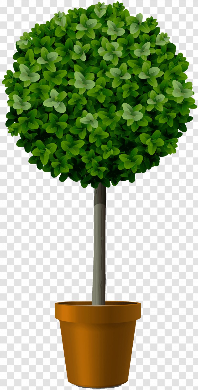 Stock Photography Tree Vector Graphics Topiary Shrub - Grass Transparent PNG