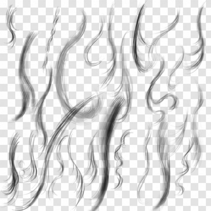 Hair Download - Black And White Transparent PNG