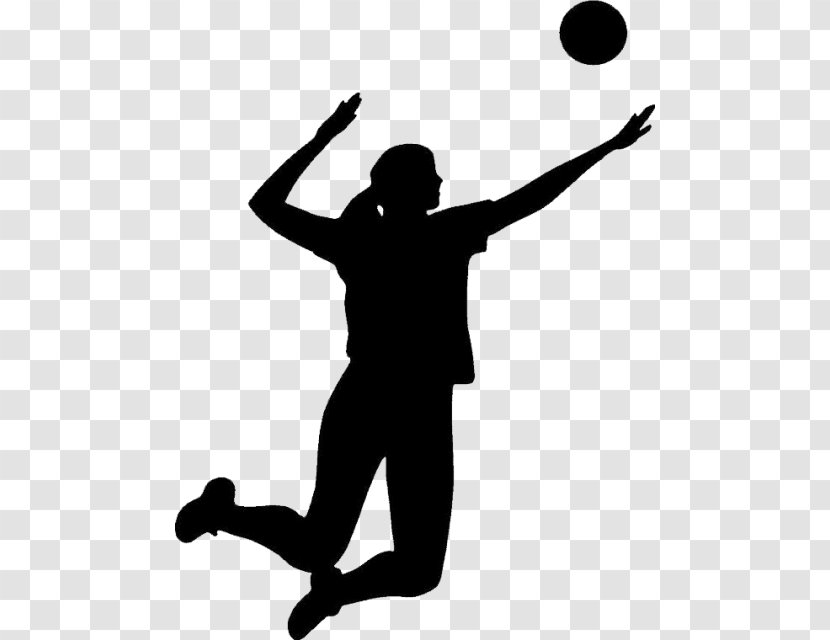 Volleyball Clip Art Image Transparency - Beach Transparent PNG