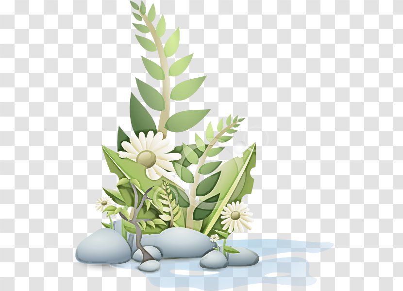 Flowerpot Leaf Plant Houseplant Flower - Herb Grass Transparent PNG