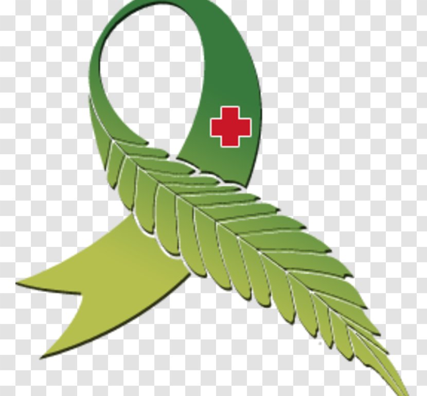 Cali 420 Rx Tracy Medical Cannabis Medicine Marijuana Card - Grass Transparent PNG