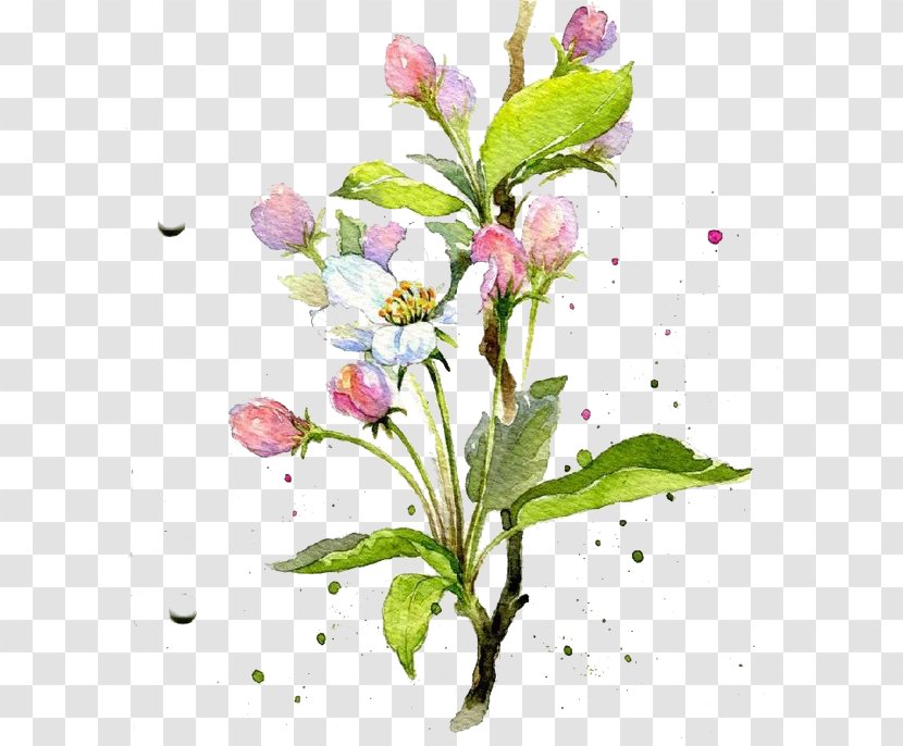 Flower Watercolor Painting Floral Design - Flowers Transparent PNG