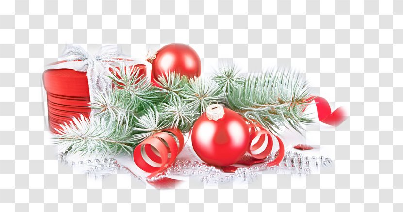 Christmas Decoration - Fir - Branch Plant Transparent PNG