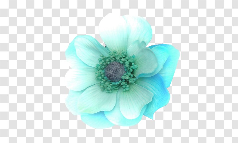 Flower Bouquet Turquoise Color Petal - Anemone Transparent PNG