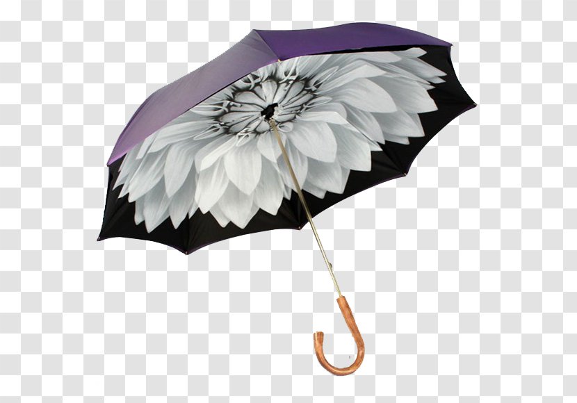 Umbrella Auringonvarjo Raincoat Fashion Accessory - Sunlight Transparent PNG
