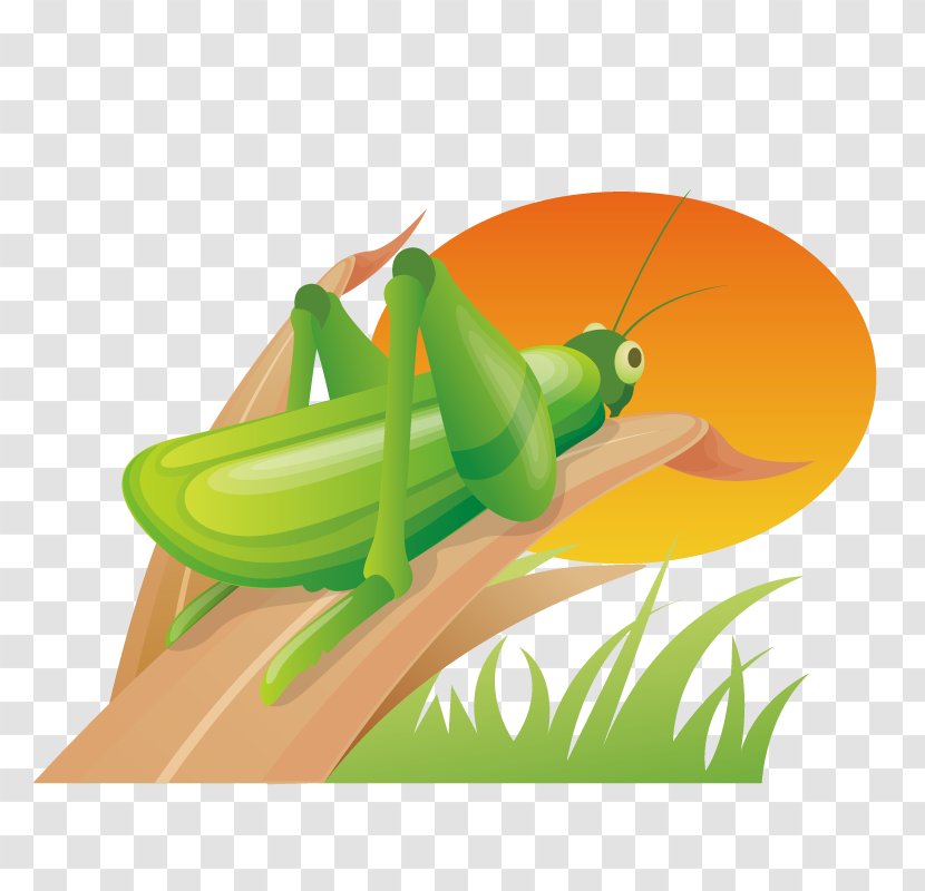 South Korea Icon Design World Wide Web - Organism - Plants Grasshopper Transparent PNG