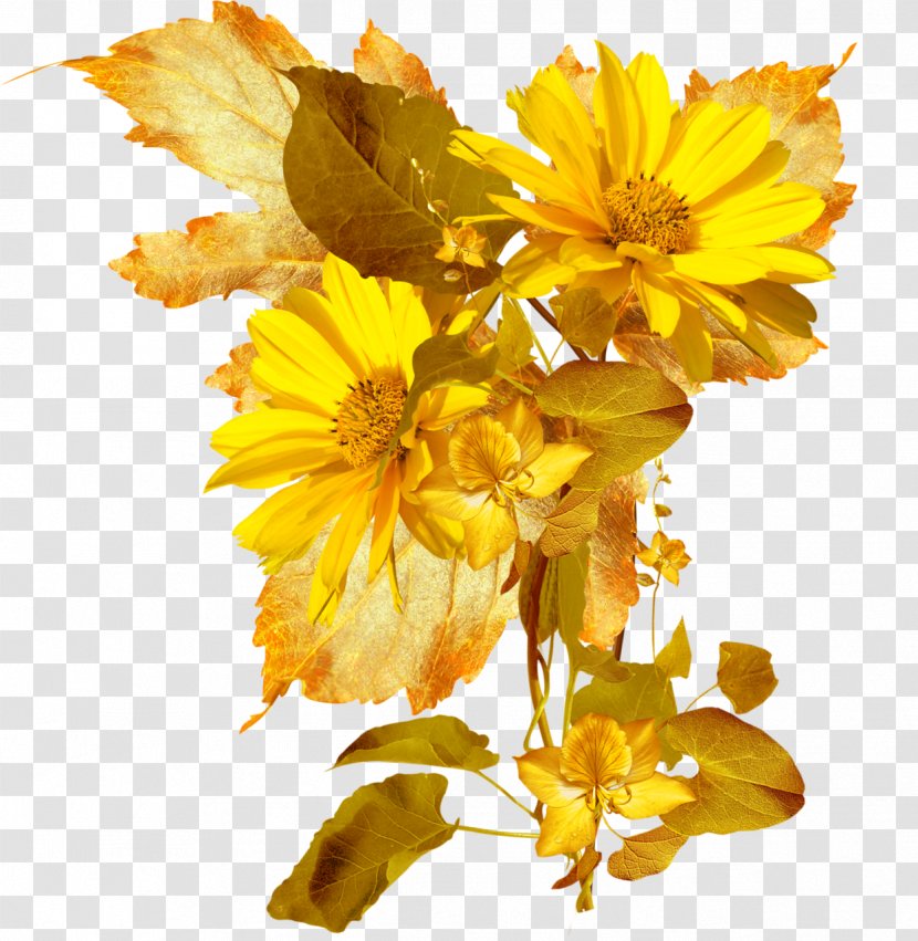 Cut Flowers Petal Flower Bouquet Wildflower - Autumn Transparent PNG