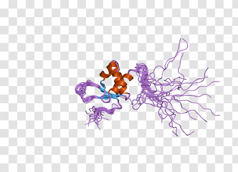 Alpha-Amanitin RNA Polymerase II Promoter - Violet - Dna I Transparent PNG