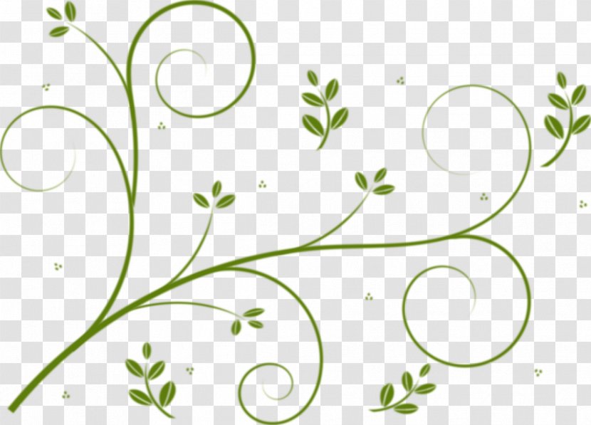 Borders And Frames Vine Flower Drawing Clip Art - Floral Design - Green Transparent PNG