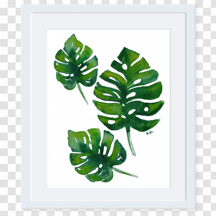 Swiss Cheese Plant Leaf Plants Watercolor Painting Window - Botany - Monstera Deliciosa Transparent PNG