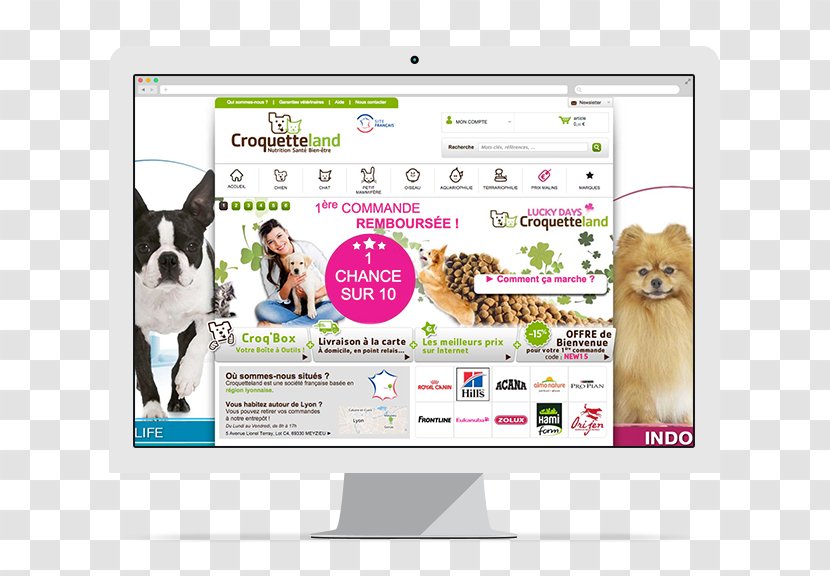 Dog Display Advertising Brand Multimedia Transparent PNG
