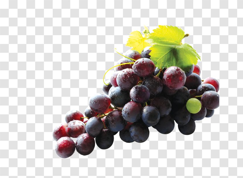 Common Grape Vine Ruby Roman Seed Extract Nutrition - Medicine Transparent PNG