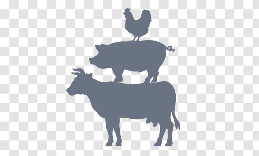Cattle Pig Livestock Farm Agriculture - Animals Transparent PNG