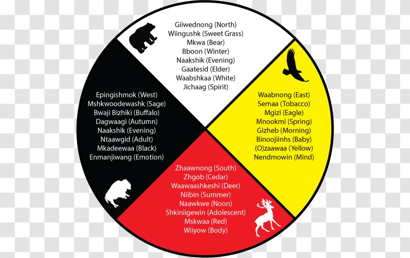 Medicine Wheel Spirituality Mental Health The Red Road Ojibwe - Frame Transparent PNG