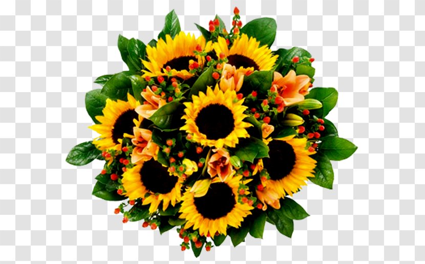 Birthday Wish Joy Holiday Smile - Sunflower Seed Transparent PNG