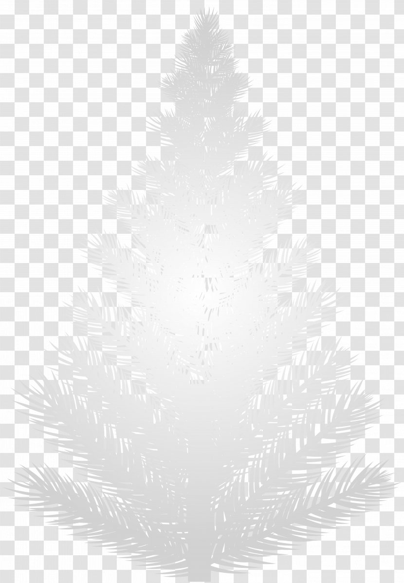 Black And White Pine Pattern - Monochrome - Tree Clip Art Image Transparent PNG