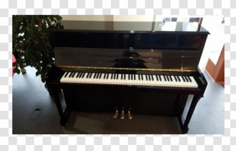 Digital Piano Electric Player Fortepiano Pianohaus Listmann Transparent PNG