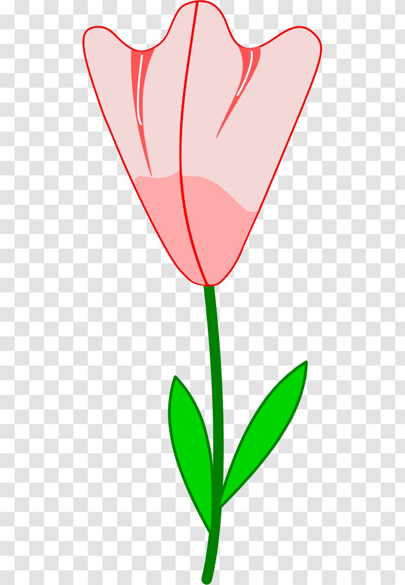 Tulip Clip Art - Royaltyfree - Magnolia Flower Painting Transparent PNG