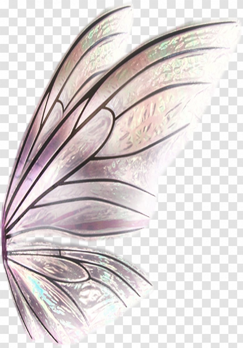 Eyebrow Purple - Butterflies Float Transparent PNG