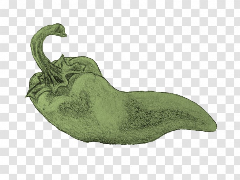 Vegetable - Organism Transparent PNG