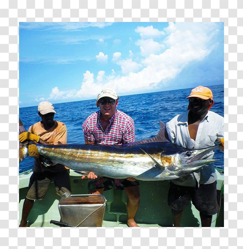 Funzi Island Ramisi Mangrove Fishing - Deep Sea Transparent PNG