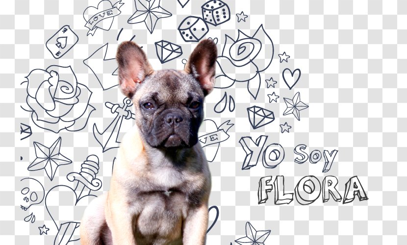 French Bulldog Toy Puppy Dog Breed - German Spitz Transparent PNG