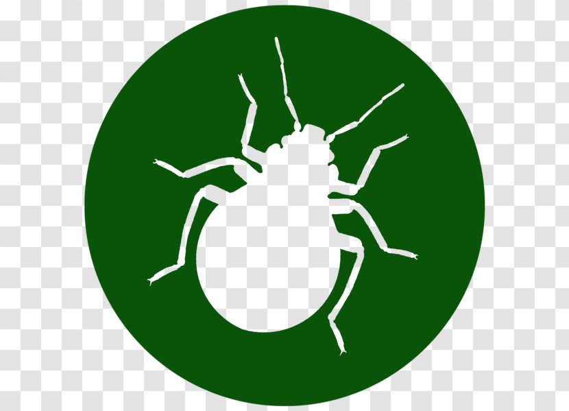 Cockroach Mosquito Pest Control Exterminator - Bed Bug Techniques Transparent PNG