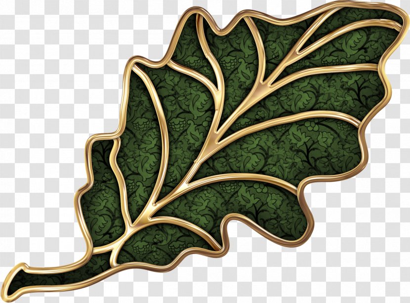 Oak Leaf Cluster Digital Image - Information - Ginkgo Transparent PNG