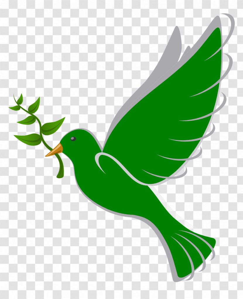 Columbidae Bird Peace Doves As Symbols Clip Art - Dove Clipart Transparent PNG