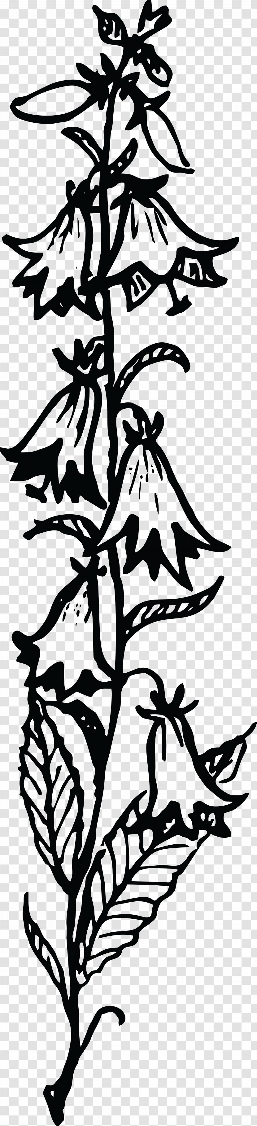 Line Art Drawing Clip - Tree - Cdr Transparent PNG