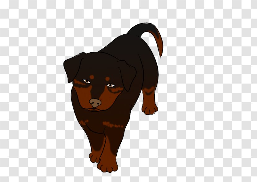 Rottweiler Puppy Dog Breed Snout - Vertebrate Transparent PNG