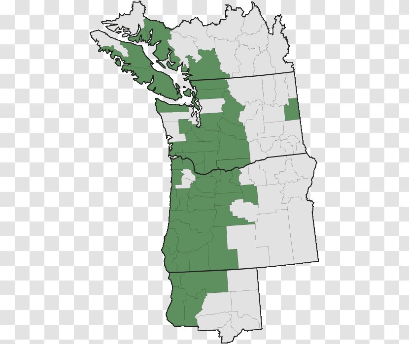 Pacific Northwest Evergreen Huckleberry Vaccinium Parvifolium Map Transparent PNG