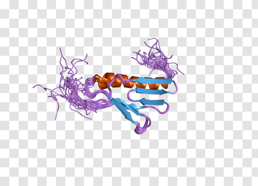 Ribosome 60S Ribosomal Protein L9 Biosynthesis - Organelle - Art Transparent PNG