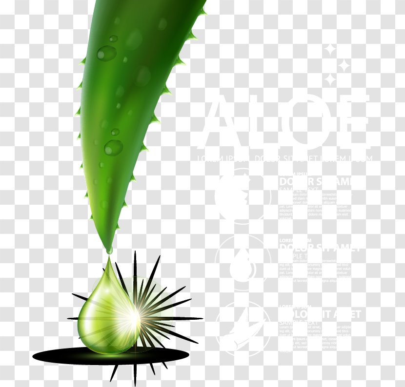 Aloe Vera Leaf Liquid Green Drop - Skin Care Ad Element Transparent PNG