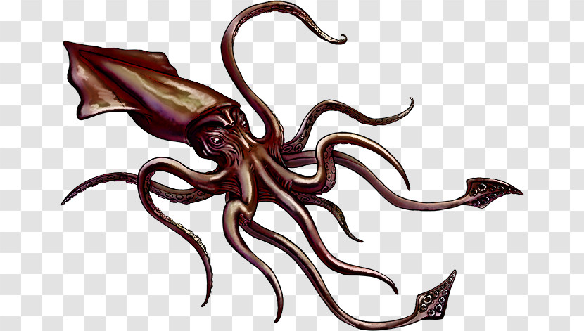 Octopus Octopus-m Kft Biology Science Transparent PNG