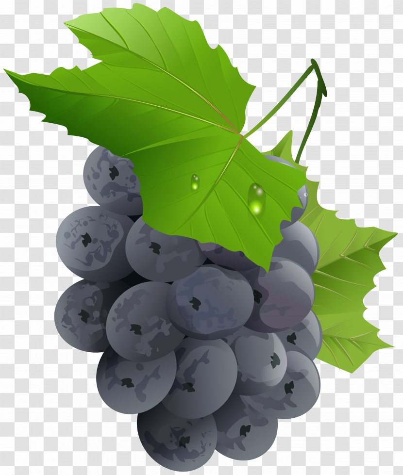 Grape Fruit Vegetable - Grapes Transparent Clip Art Image Transparent PNG