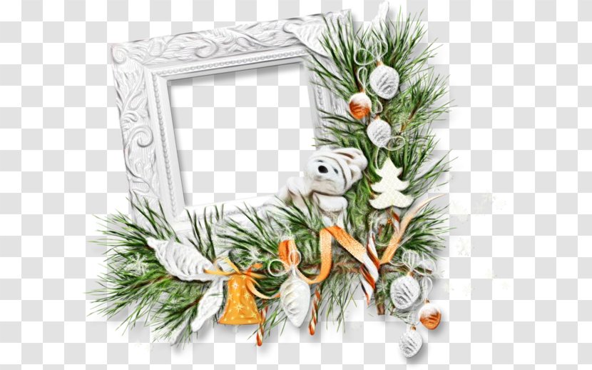 Christmas Day - Author - Cypress Family Evergreen Transparent PNG