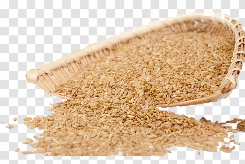 Oat Breakfast Cereal Rice - Yan Pearl Barley Image Transparent PNG
