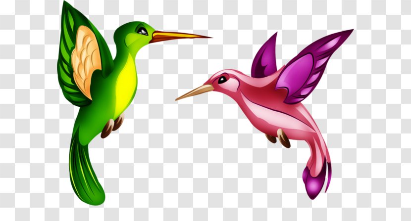 Clip Art Fauna Hummingbird M Beak - Paint Transparent PNG