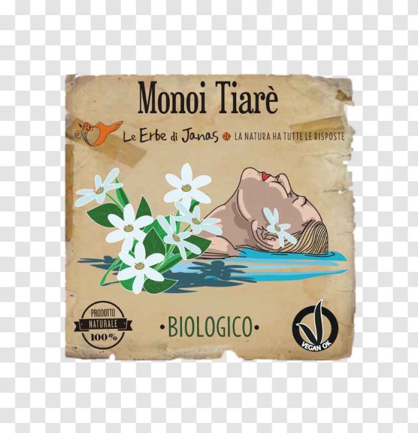 Monoi Oil Clay Skin Face Cosmetics Transparent PNG